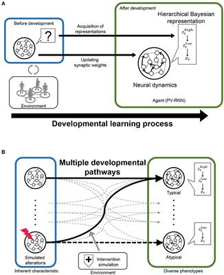 Simulating developmental diversity: Impact of neural stochasticity on atypical flexibility and hierarchy